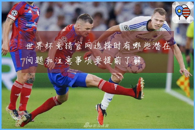 世界杯竞猜官网选择时有哪些潜在问题和注意事项要提前了解