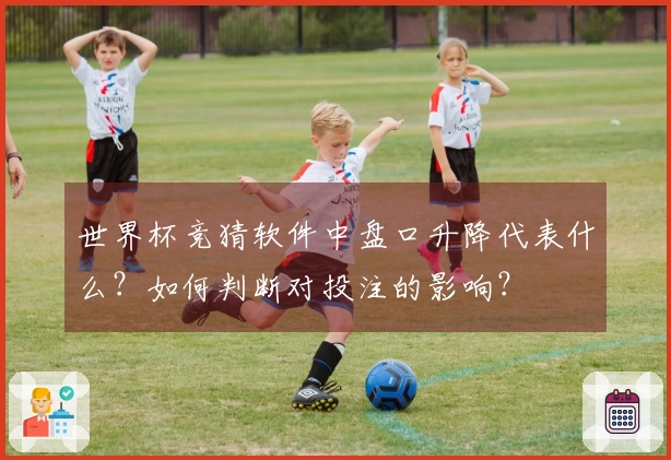 世界杯竞猜软件中盘口升降代表什么?如何判断对投注的影响?